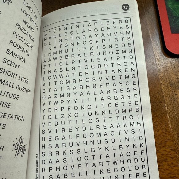 Cat Lovers Word Search Booklet - Picture 4 of 7